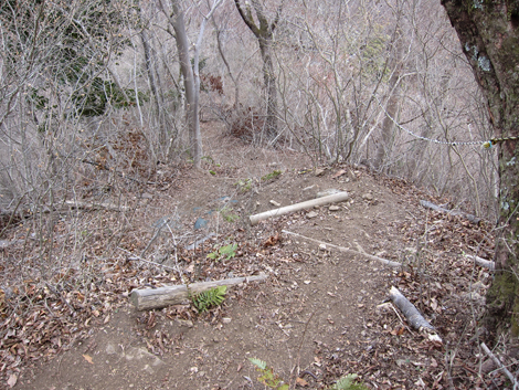 20190214hike (321)